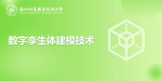 数字孪生体建模技术
